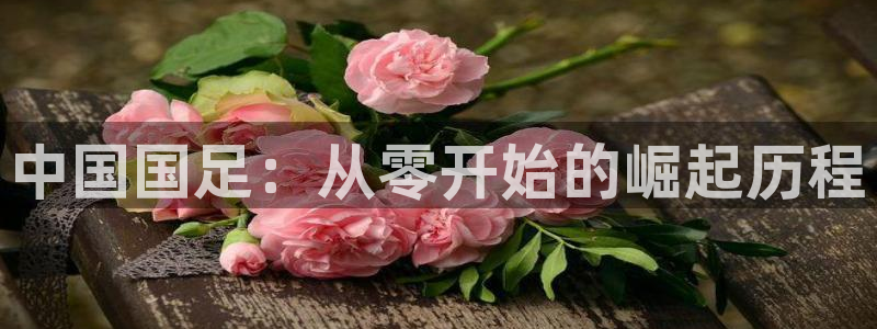 世界杯决赛预测：中国国足：从零开始的崛起历程