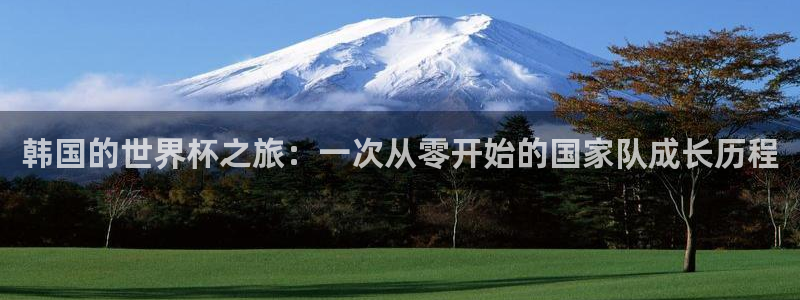 今年的世界杯：韩国的世界杯之旅：一次从零开始的国家队成长历程