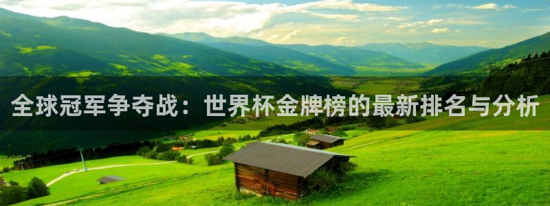 世界杯球队排名：全球冠军争夺战：世界杯金牌榜的最新排名与分析