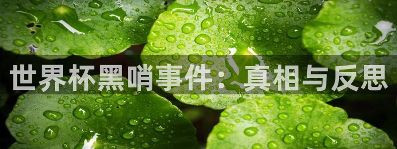 2026世界杯亚洲区预选赛赛程：世界杯黑哨事件：真相与反思