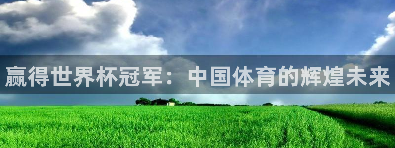 2026世界杯：赢得世界杯冠军：中国体育的辉煌未来