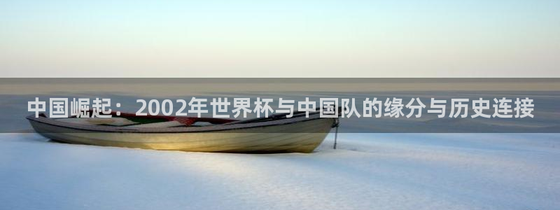 2026世界杯欧洲预选赛赛程表：中国崛起：2002年世界杯与中国队的缘分与历史连接