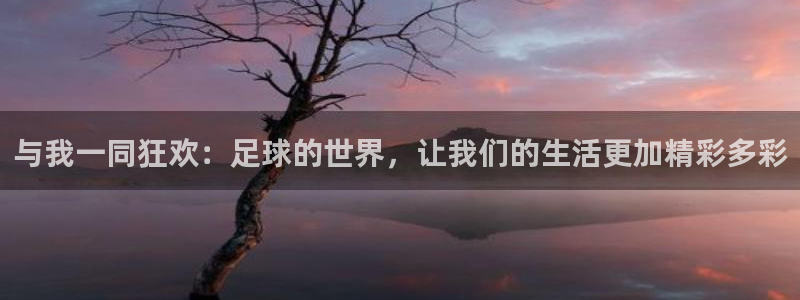 葡萄牙世界杯赛程：与我一同狂欢：足球的世界，让我们的生活更加精彩多彩