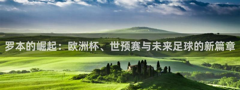 世界杯在线直播：罗本的崛起：欧洲杯、世预赛与未来足球的新篇章
