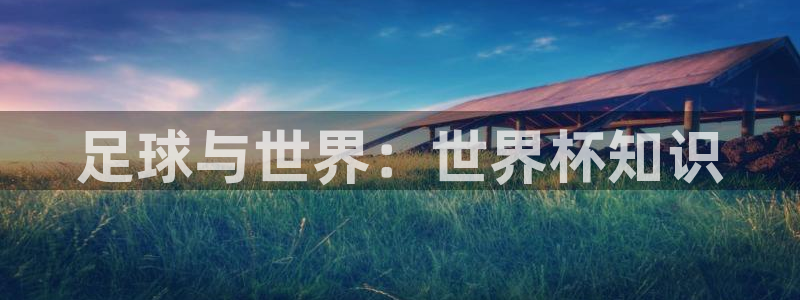 2026世界杯赛程：足球与世界：世界杯知识