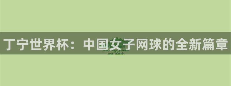 足球比分直播世界杯：丁宁世界杯：中国女子网球的全新篇章