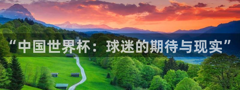 世界杯足球赛2026：“中国世界杯：球迷的期待与现实”