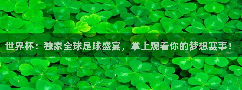 2026世界杯官网入口：世界杯：独家全球足球盛宴，掌上观看你的梦想赛事！