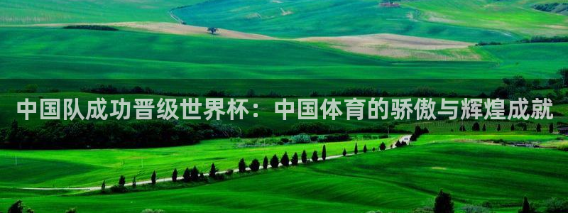 世界杯官网：中国队成功晋级世界杯：中国体育的骄傲与辉煌成就