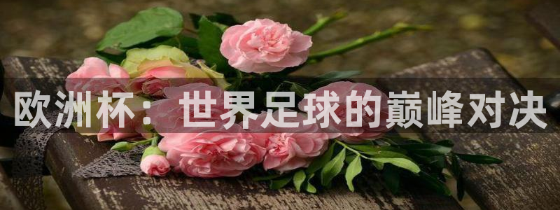 澳门世界杯直播：欧洲杯：世界足球的巅峰对决