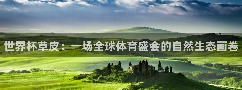 世界杯球队排名：世界杯草皮：一场全球体育盛会的自然生态画卷