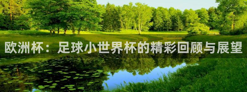 世界杯比赛直播：欧洲杯：足球小世界杯的精彩回顾与展望